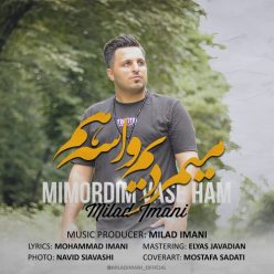 Milad Imani – Mimordim Vase Ham
